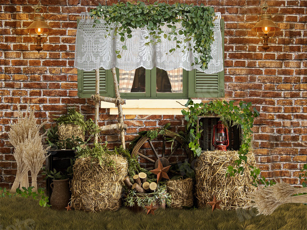 Kate Summer Brick Wall Window Haystack Backdrop for Photography