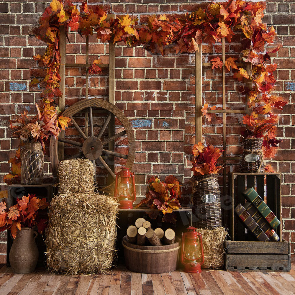 Kate Autumn Backdrop Leaves Barn for Photography