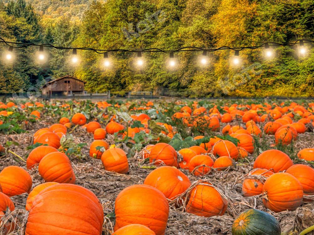 Kate Autumn Backdrop Pumpkin Farm by Chain Photography