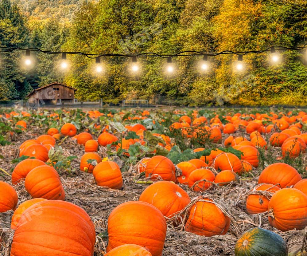Kate Autumn Backdrop Pumpkin Farm by Chain Photography