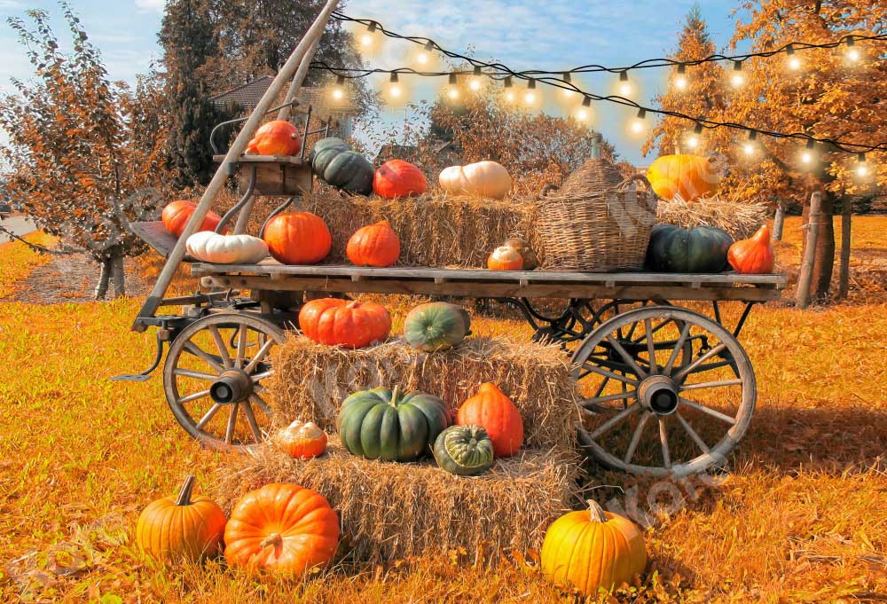 Kate Autumn Outdoor Backdrop Pumpkin Store Designed by Chain Photography