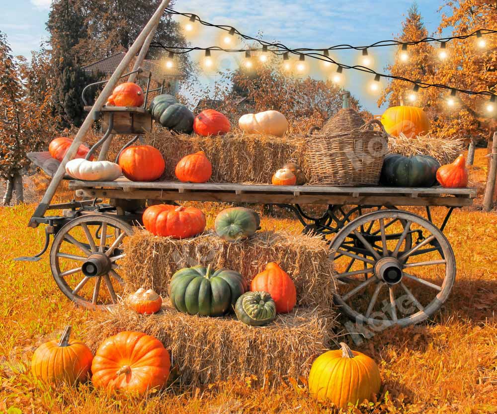 Kate Autumn Outdoor Backdrop Pumpkin Store Designed by Chain Photography