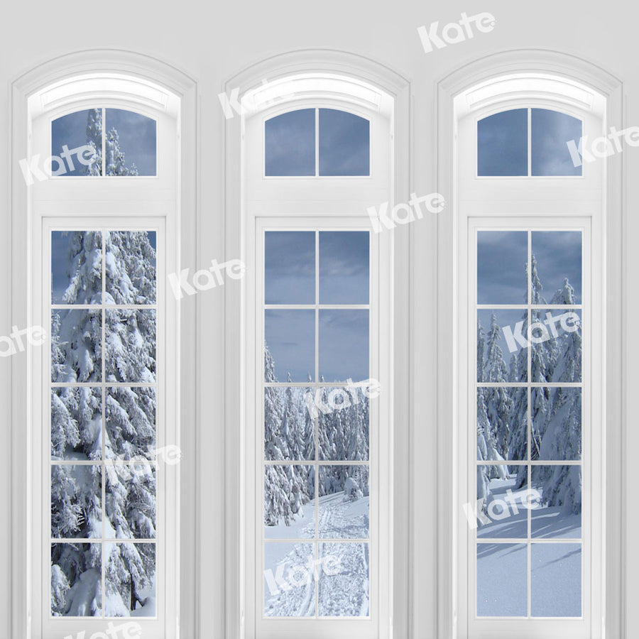 Snowy Winter Forest Window View Backdrop