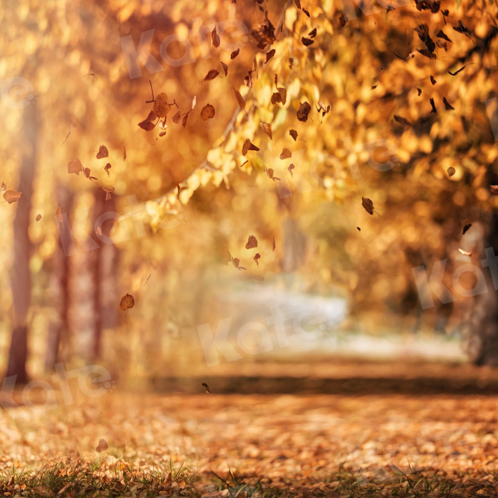 Kate Autumn Backdrop Leaves Golden Avenue for Photography