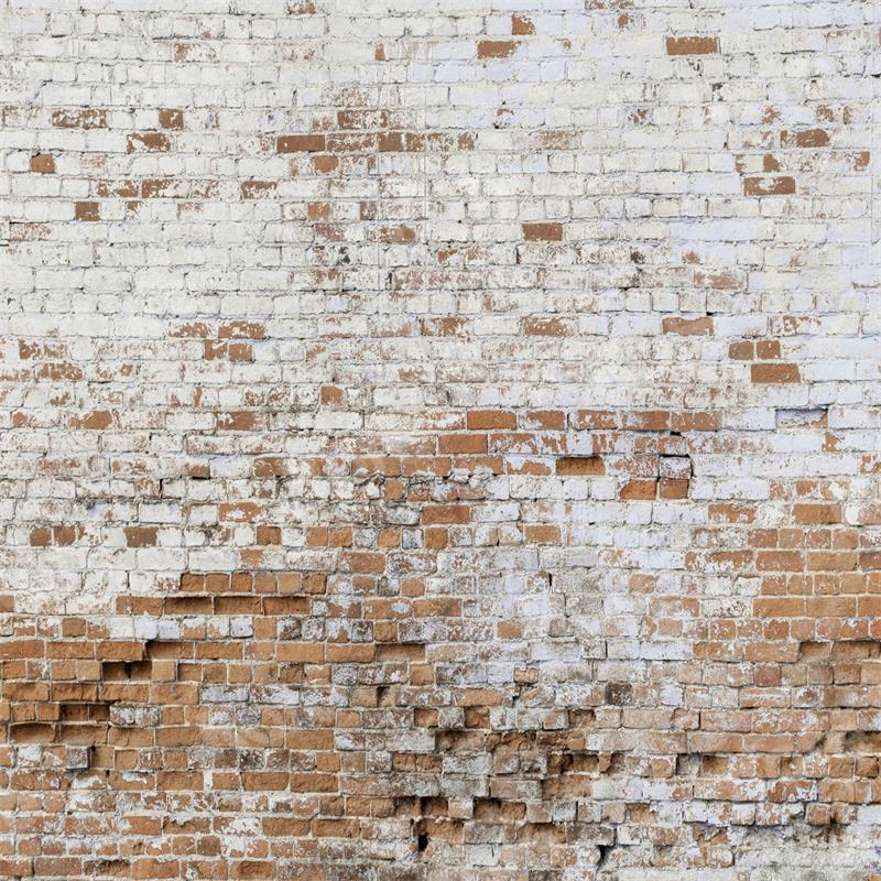 Kate Shabby Brick Wall Backdrop for Photography