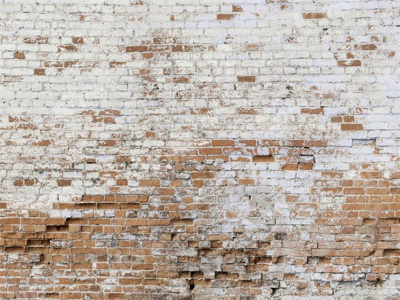 Kate Shabby Brick Wall Backdrop for Photography