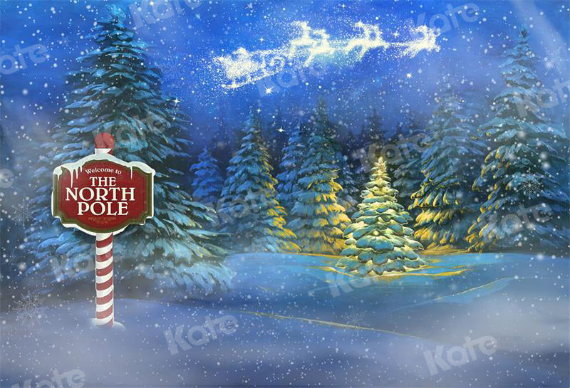 Kate Winter Backdrop Christmas Trees The North Pole for Photography