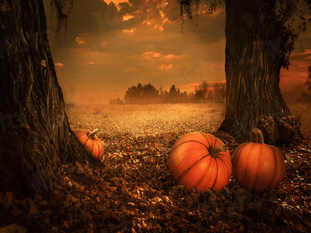 Kate Autumn Backdrop Forest Pumpkin Sunset for Photography