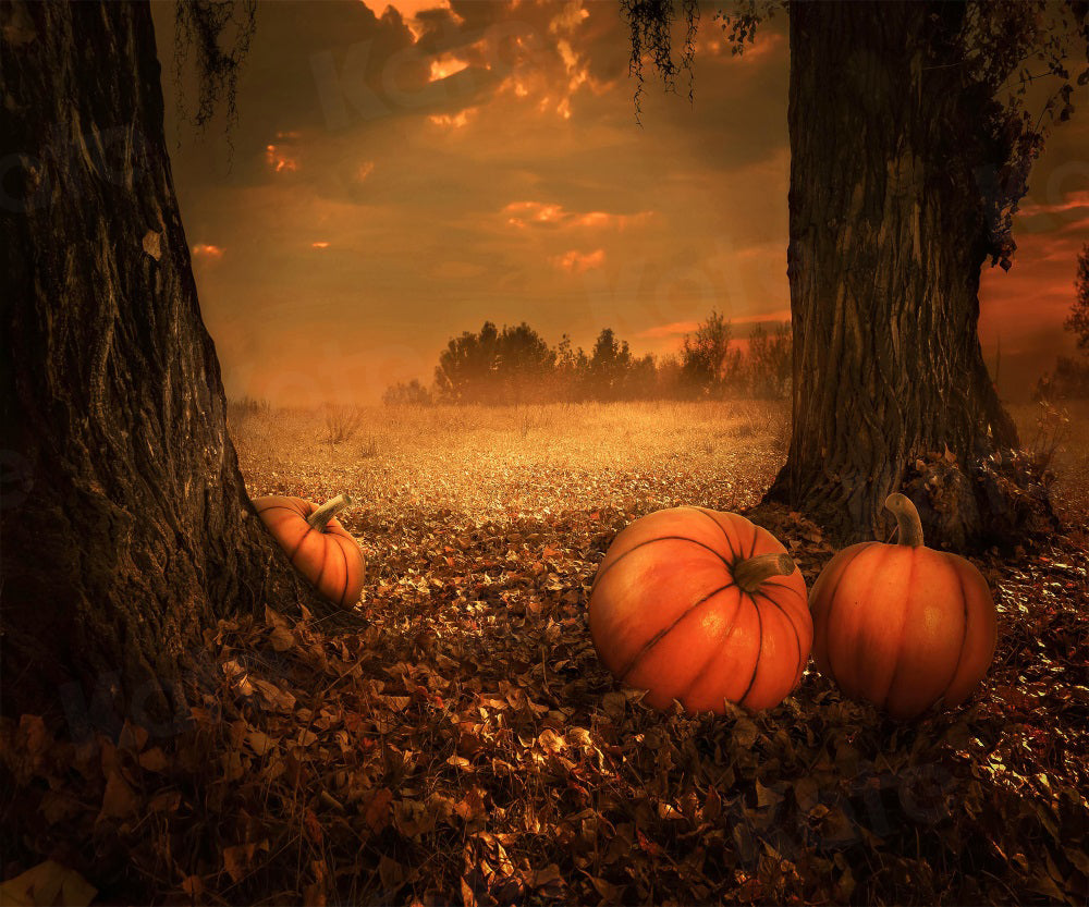 Kate Autumn Backdrop Forest Pumpkin Sunset for Photography
