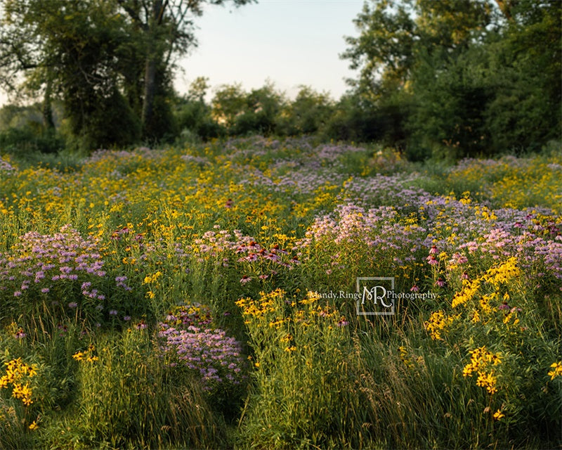 Kate Summer Wildflower Field Backdrop Designed by Mandy Ringe Photography
