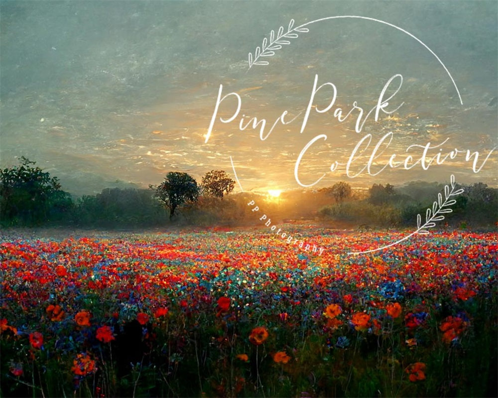 Kate Magic at Sunset Backdrop Designed By Pine Park Collection