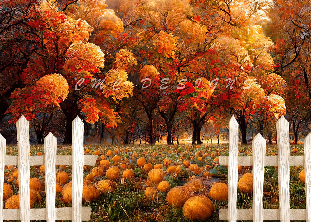 Kate Pumpkin Patch Backdrop Designed by Candice Compton