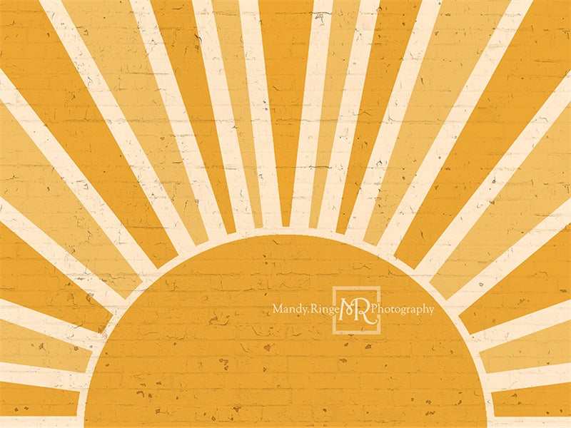 Kate You are my Sunshine Brick Wall Backdrop Designed by Mandy Ringe Photography