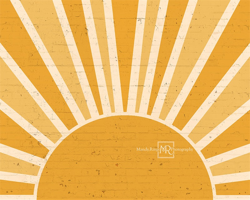 Kate You are my Sunshine Brick Wall Backdrop Designed by Mandy Ringe Photography