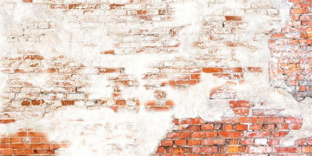 Kate Old Shabby White Red Brick Wall Backdrop Designed by Kate Image