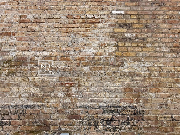 Kate Old Urban Brick Backdrop Designed by Mandy Ringe Photography