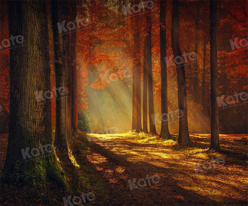 Kate Autumn Sunset Forest Backdrop for Photography