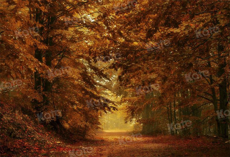 Kate Autumn Backdrop Forest Path for Photography