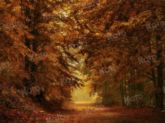 Golden Autumn Forest Path Backdrop