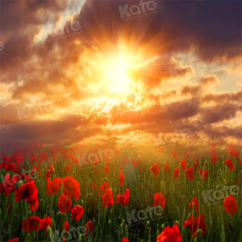 Kate Valentine's Day Backdrop Sunset Flower Farm for Photography