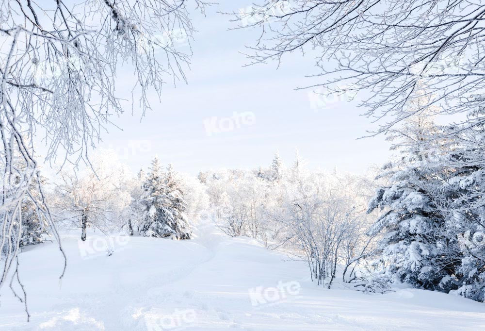 Kate Winter Backdrop Snow Forest Outdoor Designed by Chain Photography
