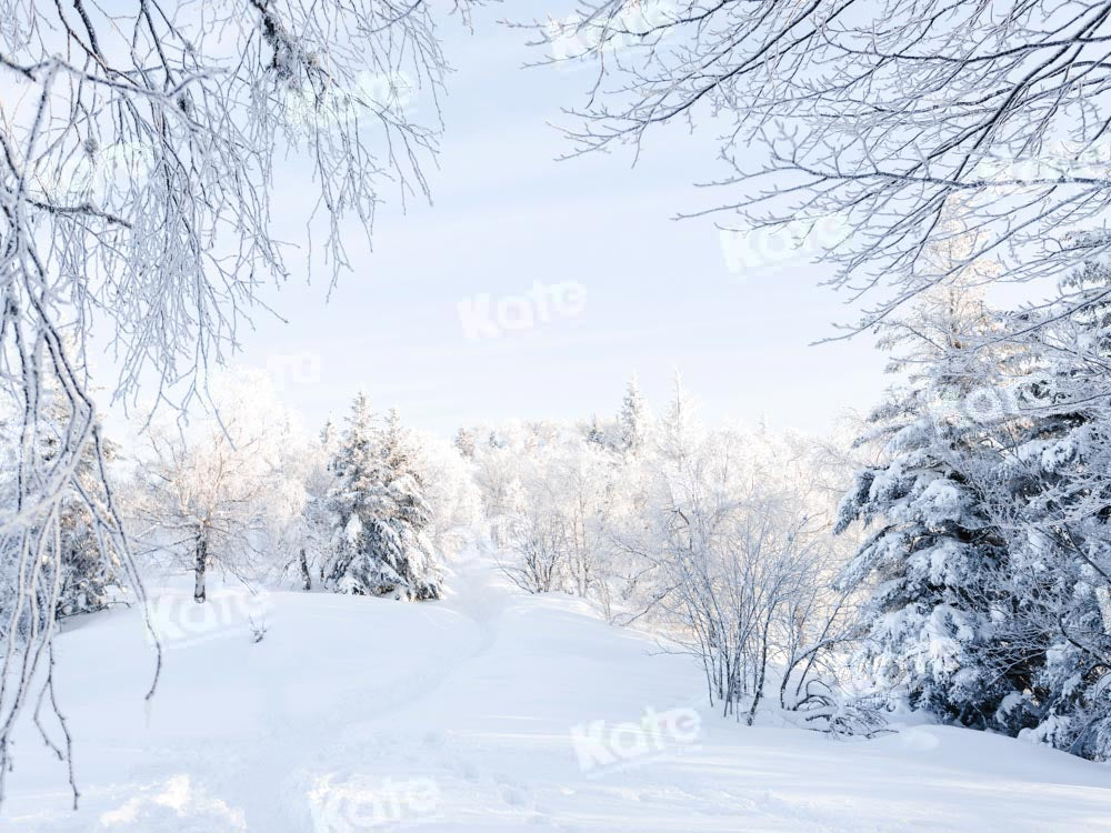 Kate Winter Backdrop Snow Forest Outdoor Designed by Chain Photography