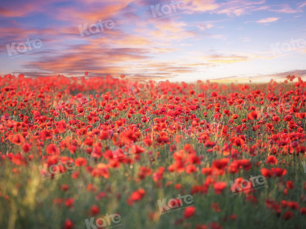 Kate Valentine's Day Sea of Flowers Poppy Backdrop Designed by Chain Photography