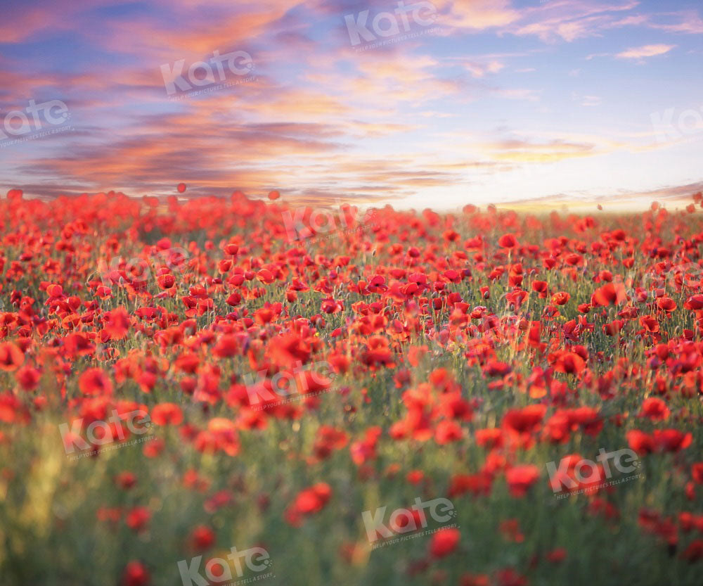 Kate Valentine's Day Sea of Flowers Poppy Backdrop Designed by Chain Photography