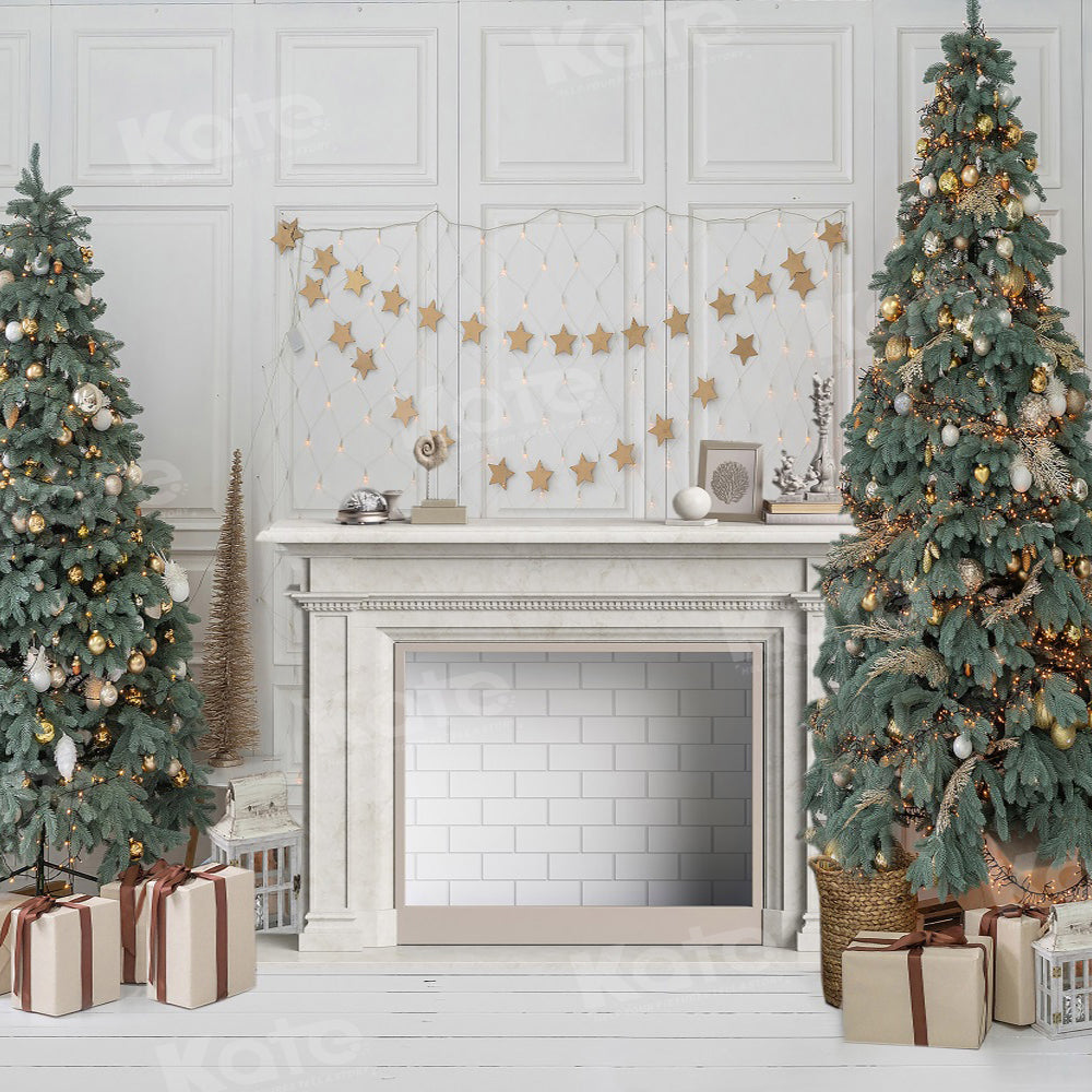 Kate Elegant Christmas Fireplace Backdrop for Photography