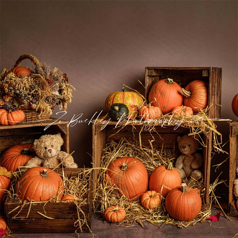 Kate Pumpkin Teds Backdrop Designed by Jo Buckley Photograph