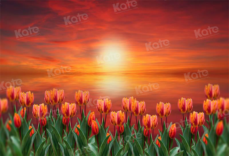 Kate Spring Tulip Dusk Sunset Backdrop for Photography