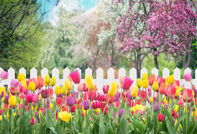 Fondo de jardín de tulipanes de primavera para fotografía