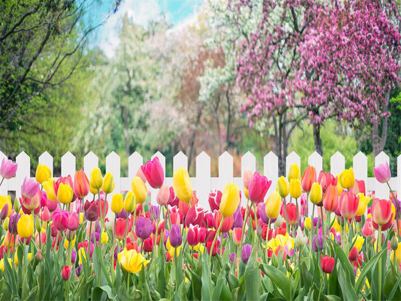 Kate Spring Tulip Flower Garden Backdrop for Photography