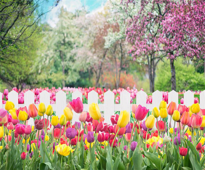 Fondo de jardín de tulipanes de primavera para fotografía