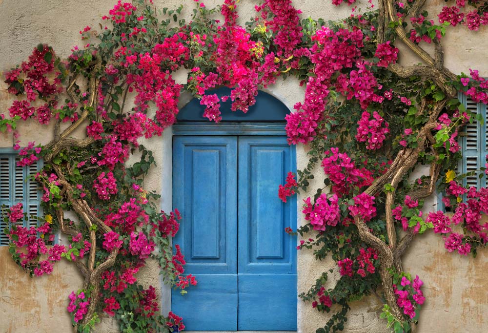 Kate Spring Flower Wall Mediterranean style Blue Door Backdrop Designed by Chain Photography