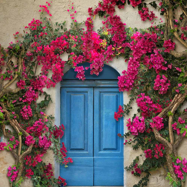 Kate Spring Flower Wall Mediterranean style Blue Door Backdrop for ...