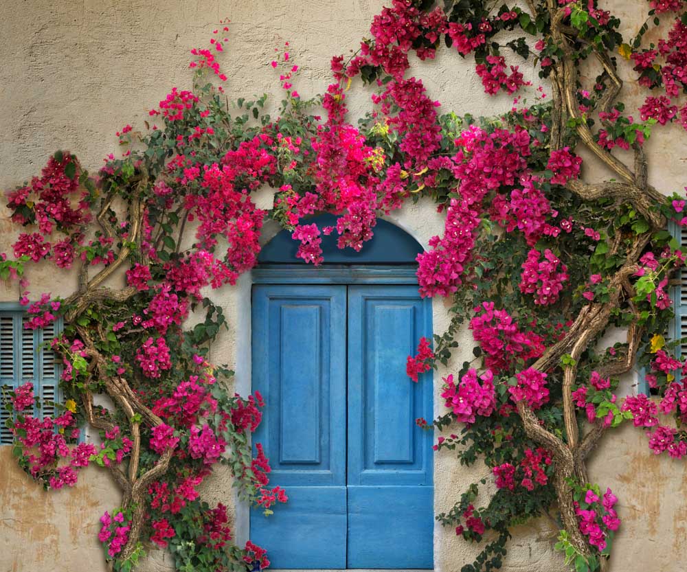 Kate Spring Flower Wall Mediterranean style Blue Door Backdrop Designed by Chain Photography