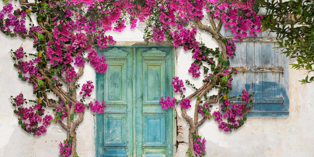 Kate Spring Door Flower Wall Mediterranean Backdrop Designed by Chain Photography