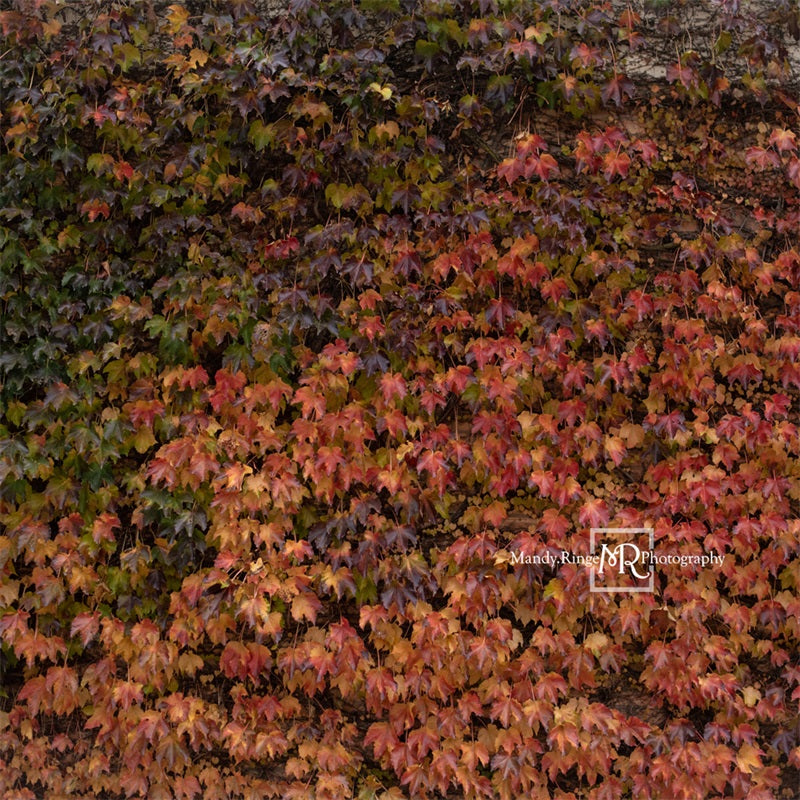 Kate Autumn Lvy Wall Backdrop Designed by Mandy Ringe Photography