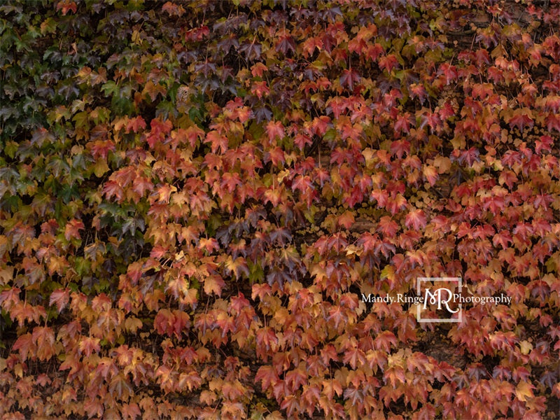 Kate Autumn Lvy Wall Backdrop Designed by Mandy Ringe Photography