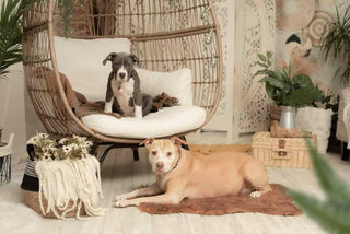 Kate Mother's Day Boho Arch Wall Pampas Grass Printed Backdrop Designed by Mandy Ringe Photography