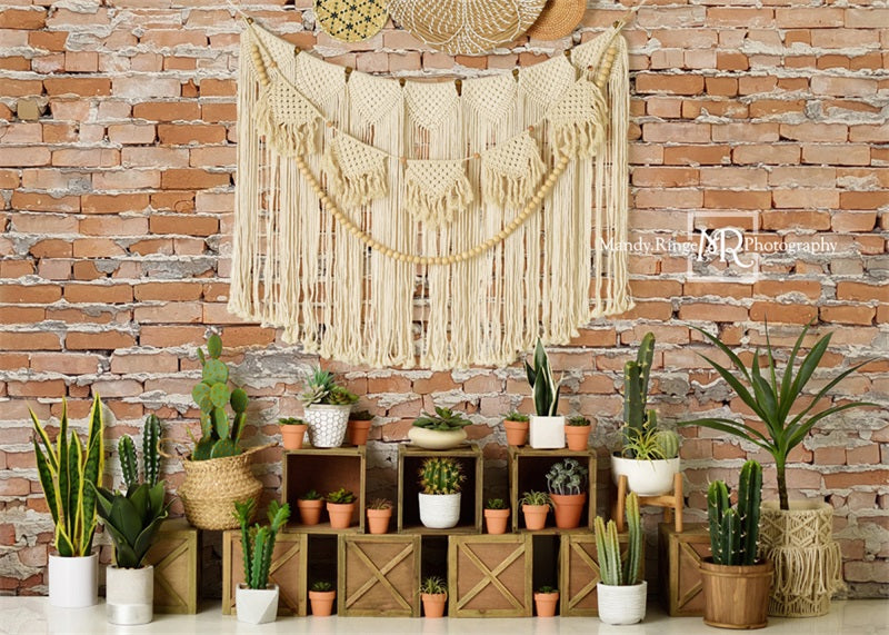 Kate Boho Southwest Cactus Wall Backdrop Designed by Mandy Ringe Photography