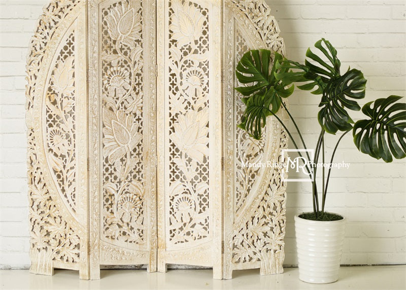 Kate Simple Boho Screen and Plant Backdrop Designed by Mandy Ringe Photography