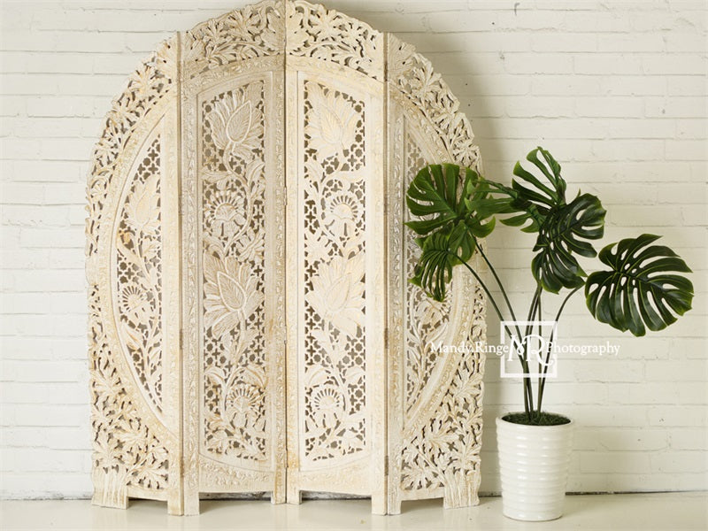 Kate Simple Boho Screen and Plant Backdrop Designed by Mandy Ringe Photography