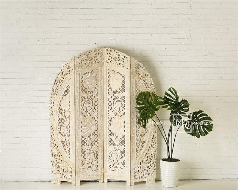 Kate Simple Boho Screen and Plant Backdrop Designed by Mandy Ringe Photography