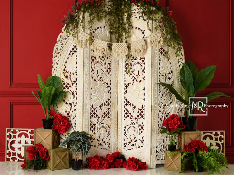 Kate Valentine's Screen with Red Wall Backdrop Designed by Mandy Ringe Photography