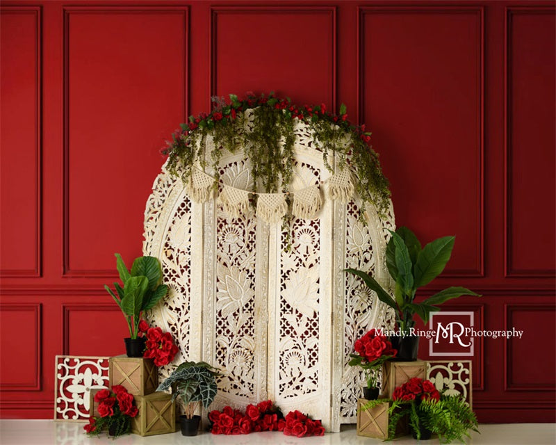 Kate Valentine's Screen with Red Wall Backdrop Designed by Mandy Ringe Photography