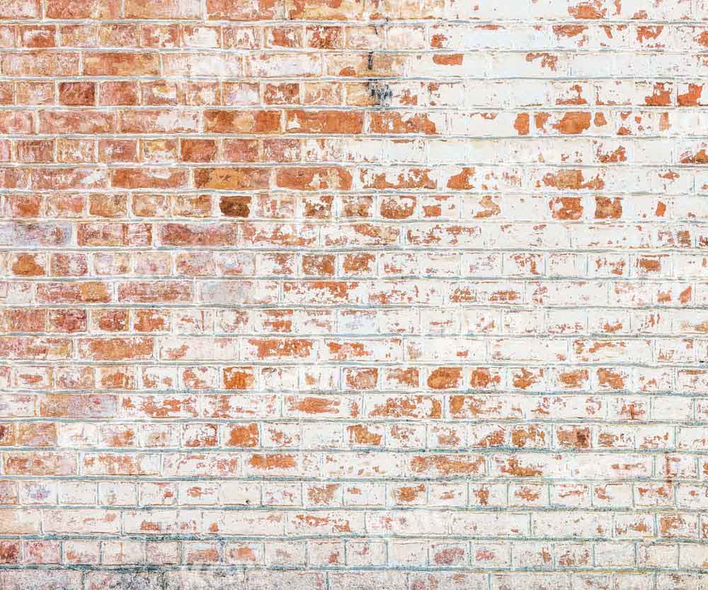 Kate Shabby Brick Wall Backdrop Designed by Kate Image