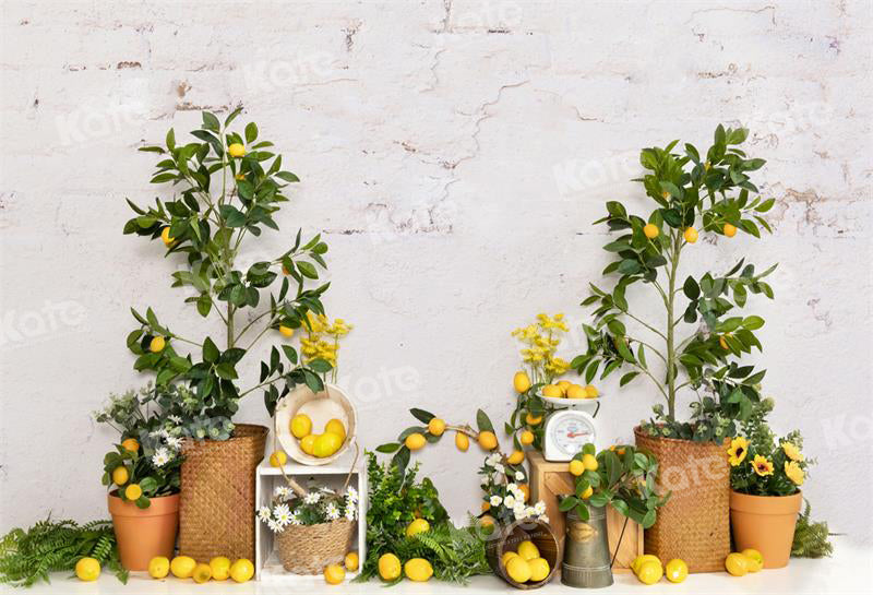 RTS Kate Summer Lemon Tree Backdrop for Photography (US ONLY)