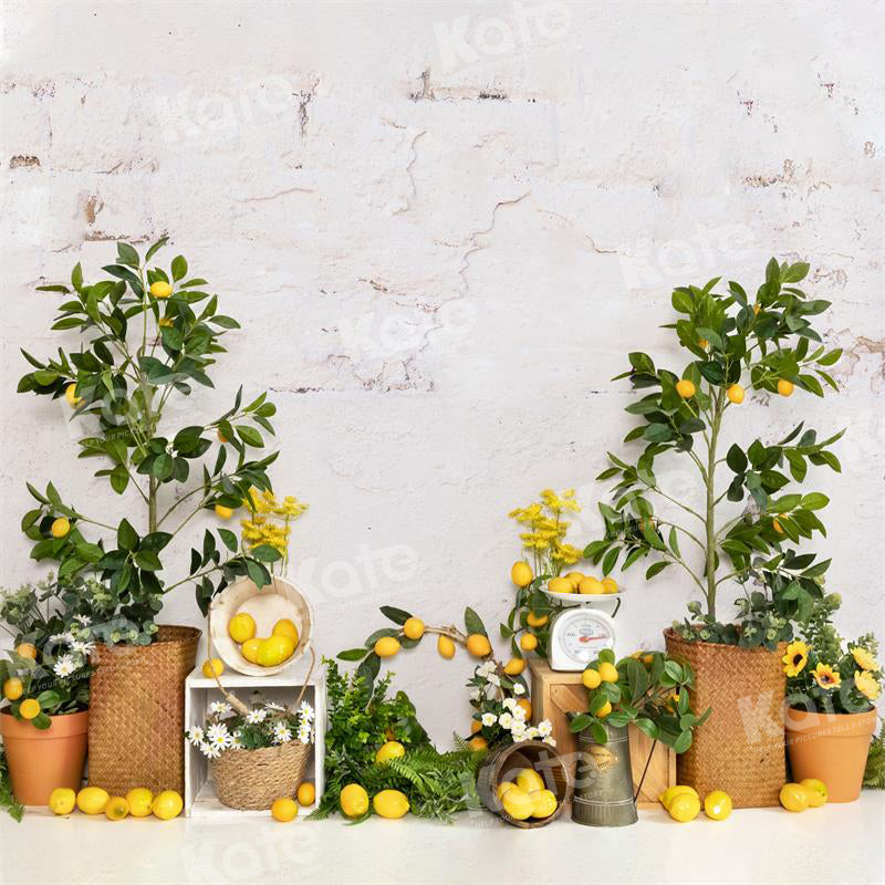 RTS Kate Summer Lemon Tree Backdrop for Photography (US ONLY)